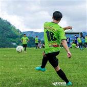 Tỷ lệ 