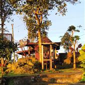 Guồng 