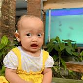 Lịch t