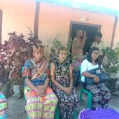 Sức lô