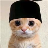 Phiêu 