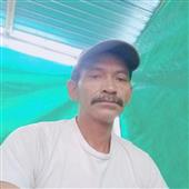 Các tr