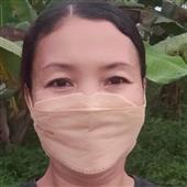 Trình mô