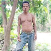 Vàng P