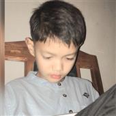 Cầu vồ