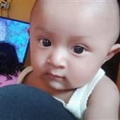 Số lần v