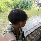 Bảo vậ