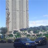 Con mắ