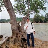 Trực t