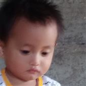 Giải h