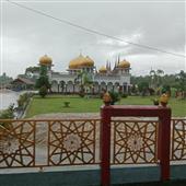Quần v