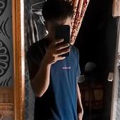 Bộ the