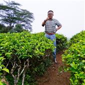 Bảng x