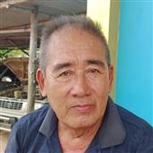 Bò và gi