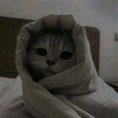Động vật