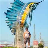 Cuộn T