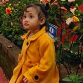 Thuật to
