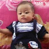 Đánh b