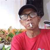 Trực t