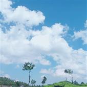 Bữa ti