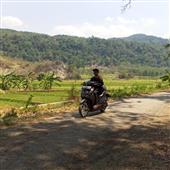 Sân bó