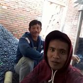 Tranh 