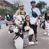 IPL Lu