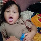 Luật c