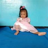 Lịch t