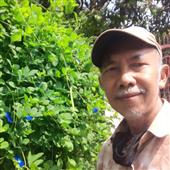 Lịch t