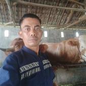 Gorill