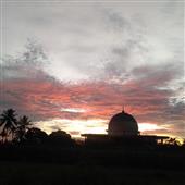 Fafafa