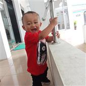 Phượng