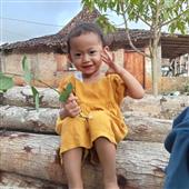 Trực t