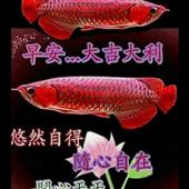 Máy Ủi