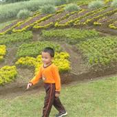 Bảng x
