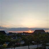 Biểu hiệ