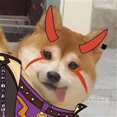 Hàng t