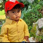Trực t