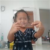 Luật t