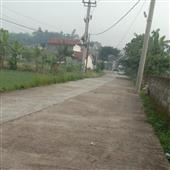 Sự già