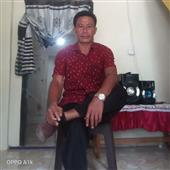 Đua ngựa