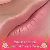 đơn đô