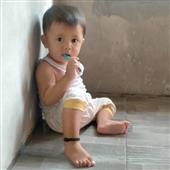Trang 