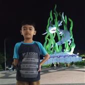 Finaliss