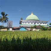 Của tô